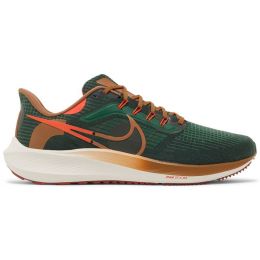 Nike Air Zoom Pegasus 39 A.I.R. Hola Lou