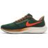 Nike Air Zoom Pegasus 39 A.I.R. Hola Lou